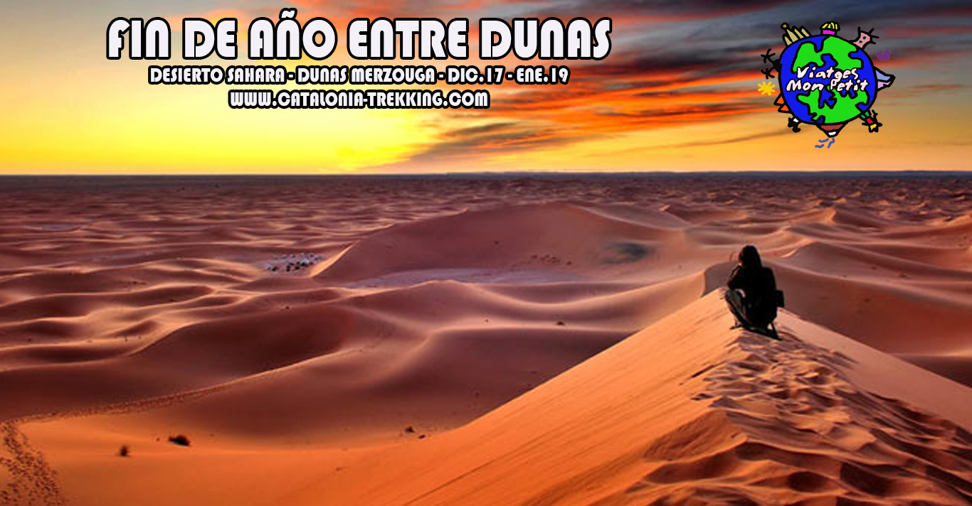 14 poster FIN AÑO DESIERTO