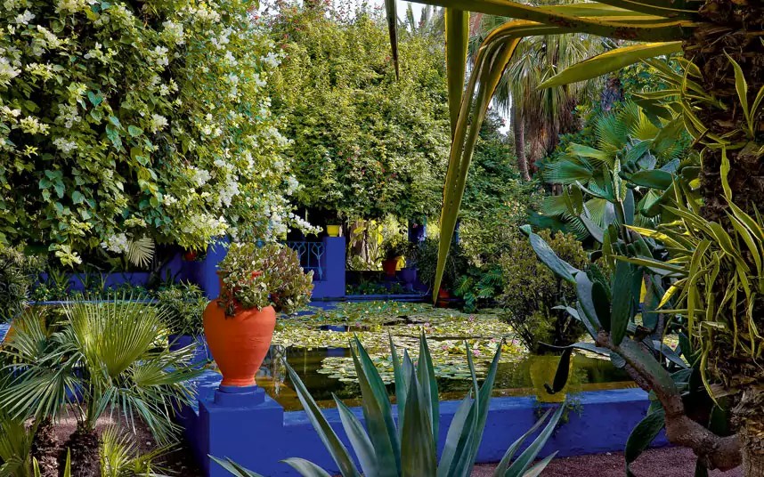 7 JARDINES MAJORELLE (2).jpg