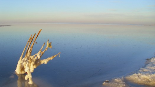 salar (3)