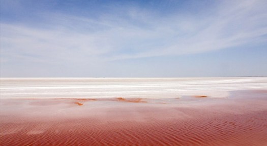 salar (5)