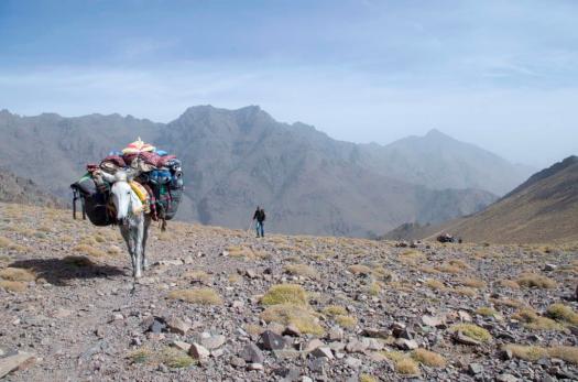 toubkal innédit (18)