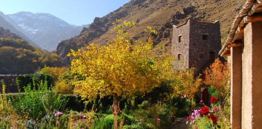 Toubkal Tazarhart (4)