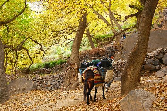 Toubkal Tazarhart (9)