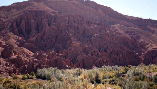 DADES (5)