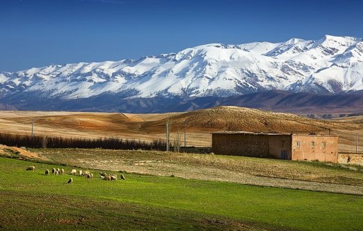 Atlas primavera (10)