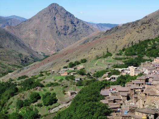 Angour arista O.N.O. (1)