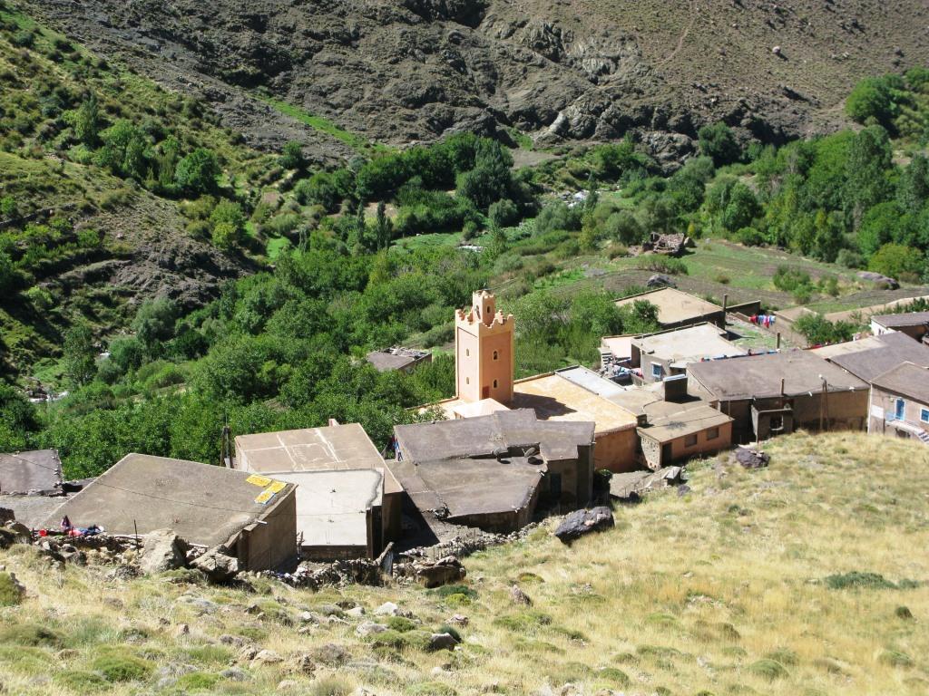 Angour arista O.N.O. (2)