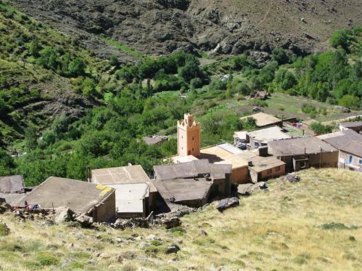 Angour arista O.N.O. (2)