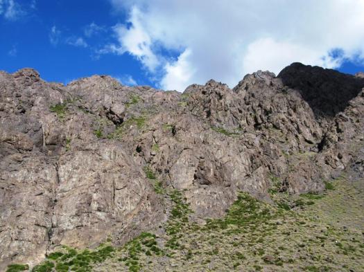 Angour arista O.N.O. (3)