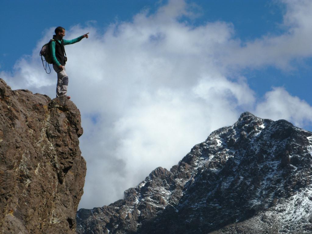 Angour arista O.N.O. (4)