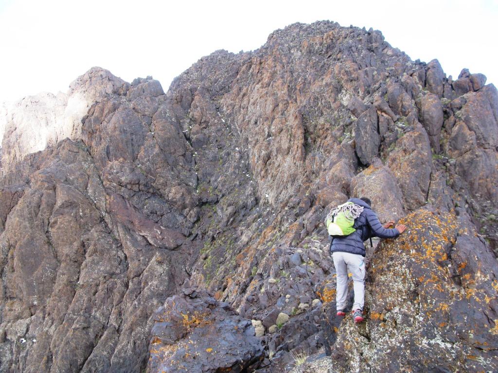 Angour arista O.N.O. (5)