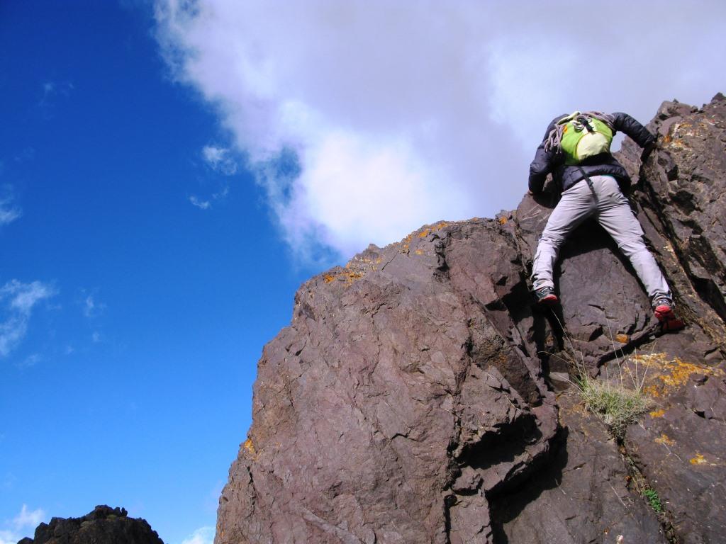 Angour arista O.N.O. (6)