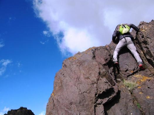 Angour arista O.N.O. (6)