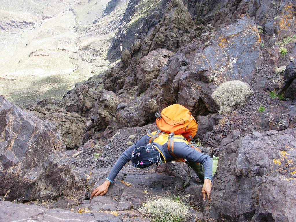 Angour arista O.N.O. (7)