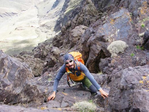 Angour arista O.N.O. (8)