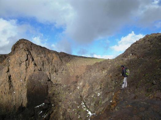 Angour arista O.N.O. (9)