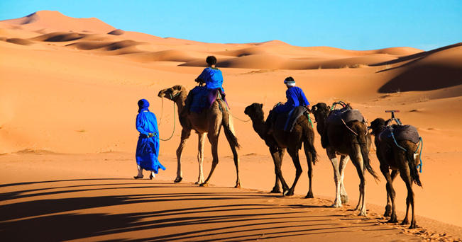 Tuareg man and his children dressed in traditional blue robe with camels in the Erg Chebbi area Sahara desert Morocco
