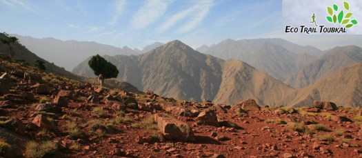 Eco Trail (1)