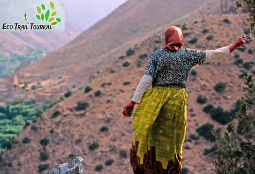 Image du phototeque du Still Images sarl