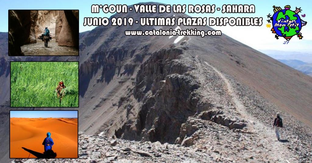 poster m Goun junio 19