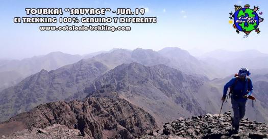 poster Toubkal Sauvage