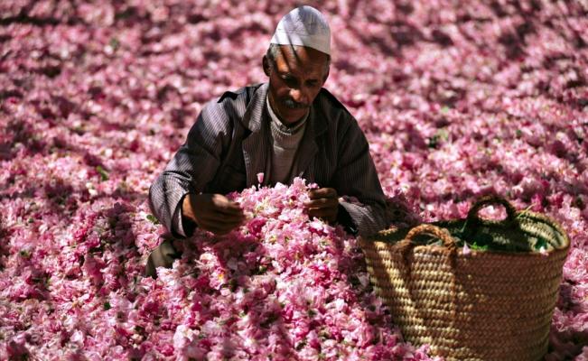 ok_apertura_y_principal