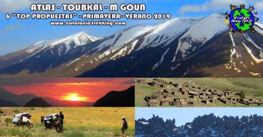 poster ATLAS PRIM VERANO