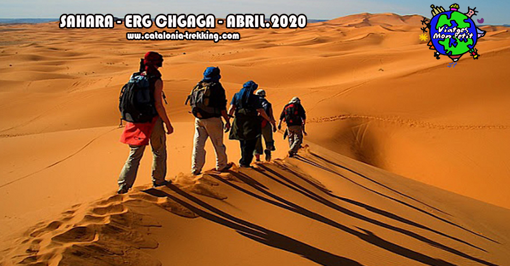 5 poster ERG CHGAGA SIN PROMO